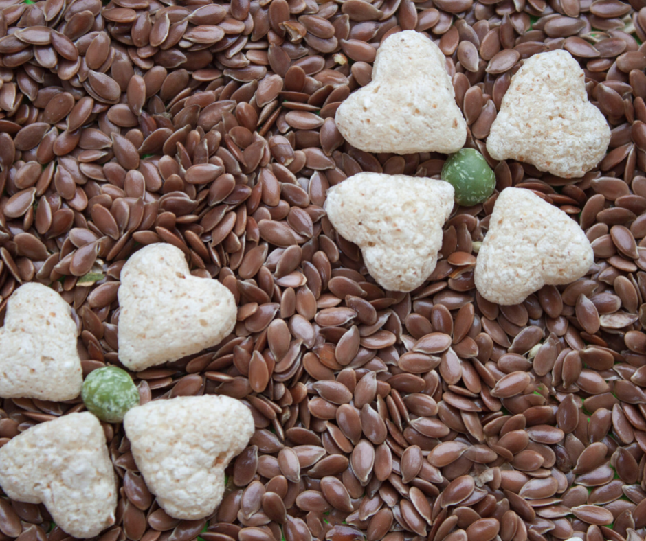Transform Your Pets Coat With This Tiny Seed!