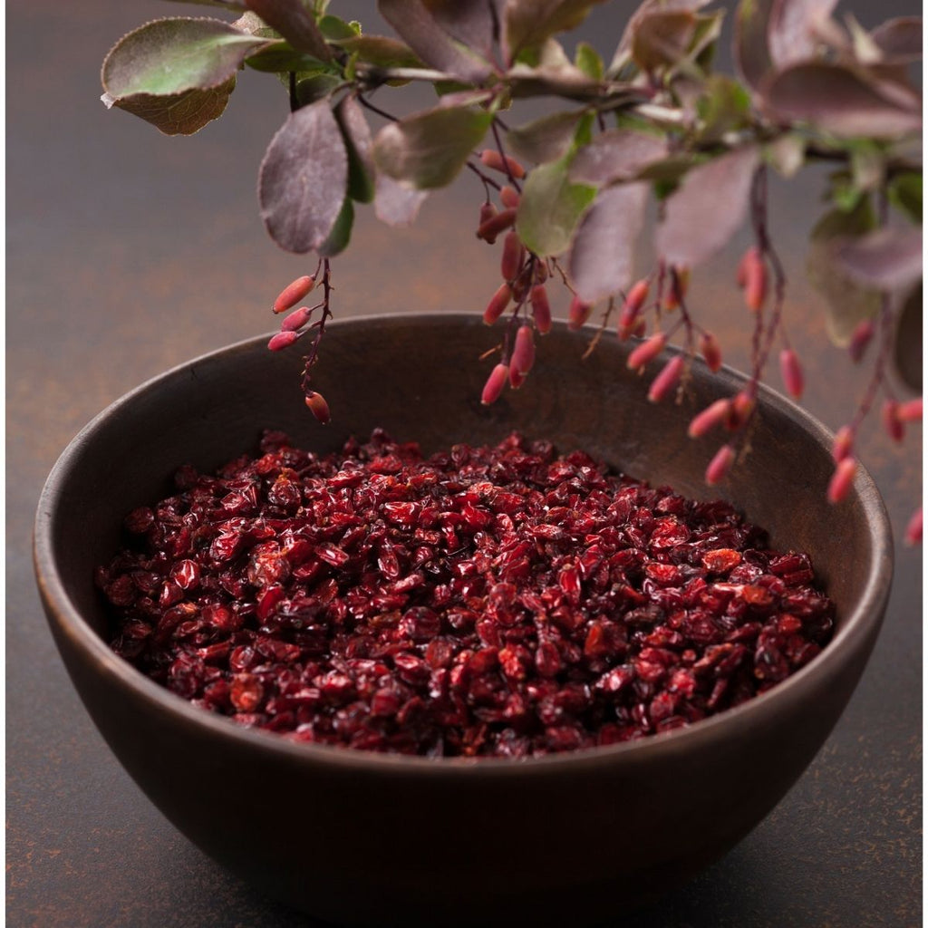 A dark bowl filled with dried red barberries, with fresh barberries hanging above.
