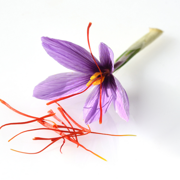 Is Saffron Really More Expensive Than Gold?