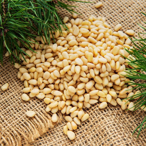 Pine Nuts Benefits: Small, But Wonderfully Nourishing