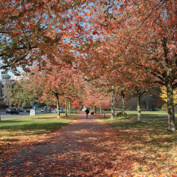 Thanksgiving Weekend in Vancouver 2026: Events, Activities and Local Ideas