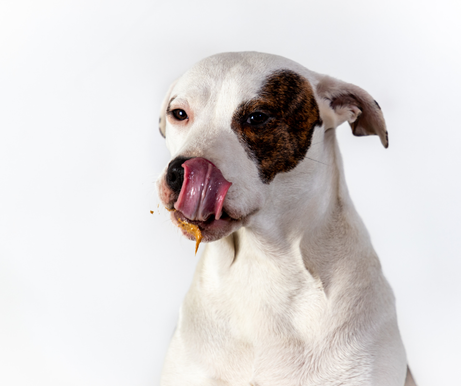 How often can you sales give a dog peanut butter