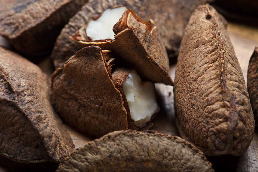 Everything You Need To Know About Brazil Nuts