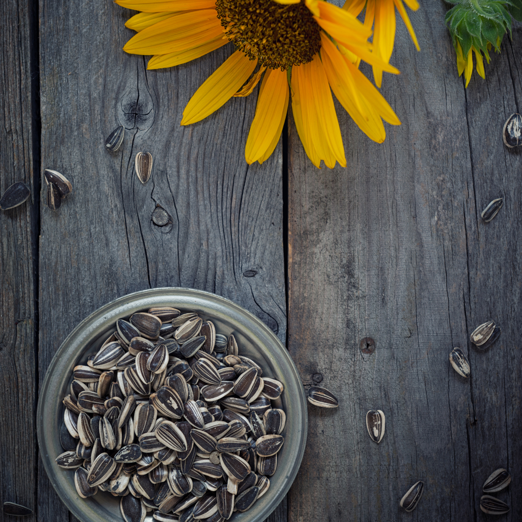 What Happens If You Eat Too Many Sunflower Seeds?