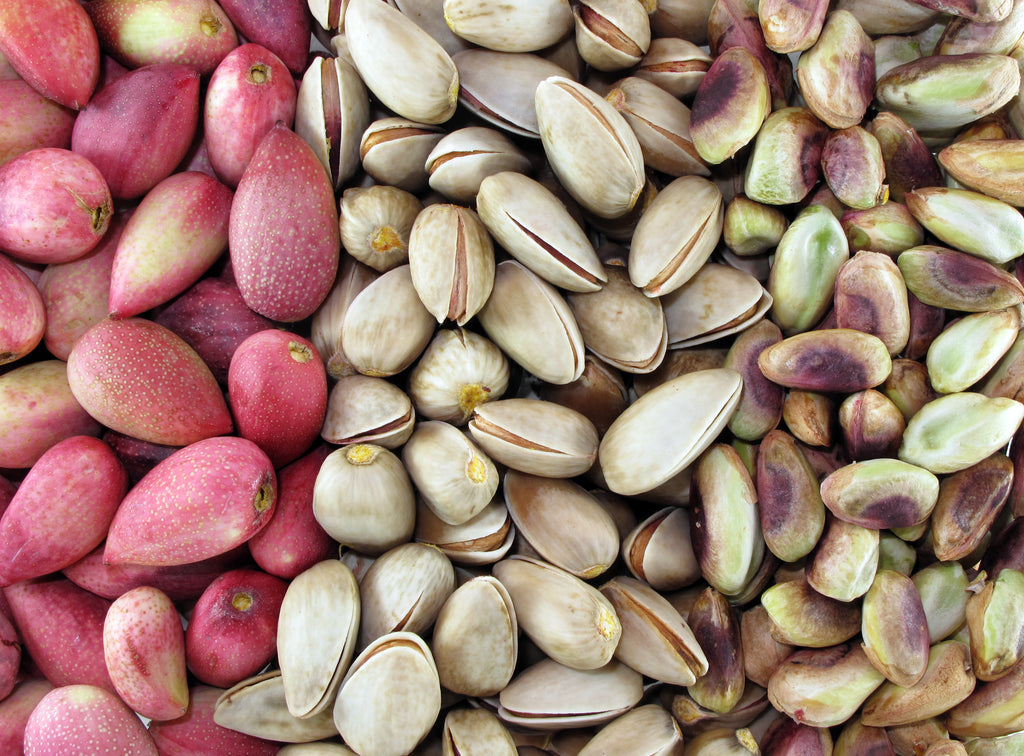 Pistachios- Everything You Need to Know
