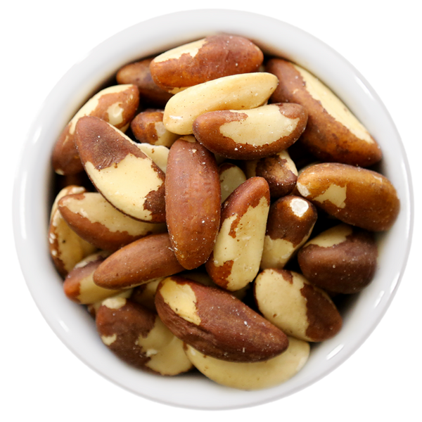 Brazil Nuts - Raw (Organic) – Ayoub's Dried Fruits & Nuts